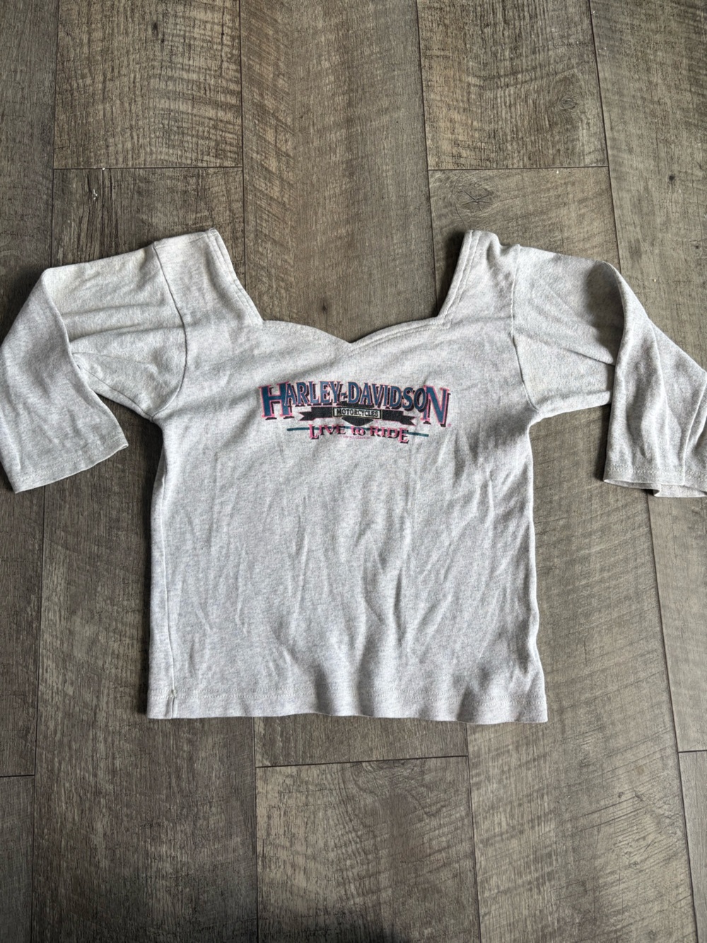 Harley-Davidson Light Gray Short Sleeve Tee with Multicolor Logo